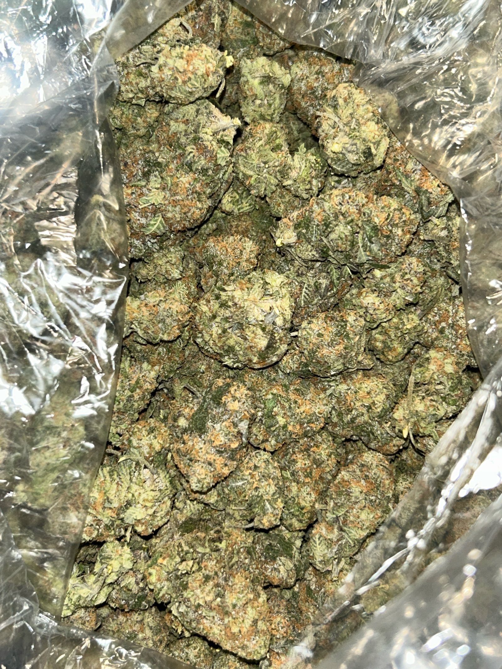 Hand-trimmed flower packed dense in an open bag, label or text is — trichome frost and orange pistils legible as texture